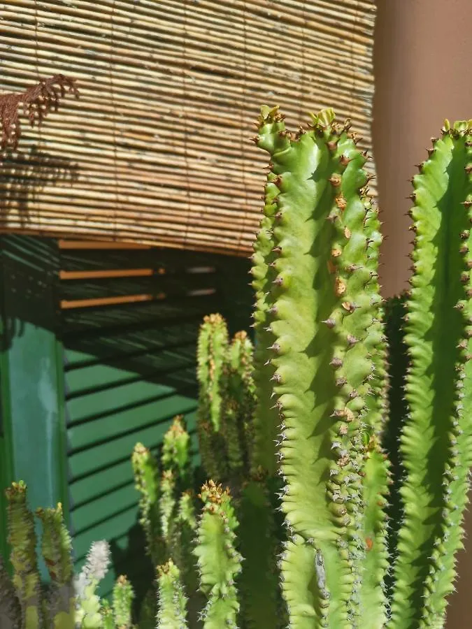 Paradise Villa Corralejo